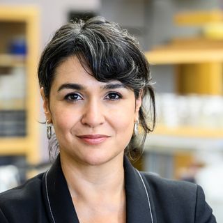 Dr Betül  Kaçar