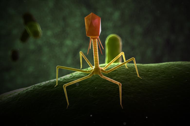 8370_3drender_accurate_phage_538216_crop.jpeg